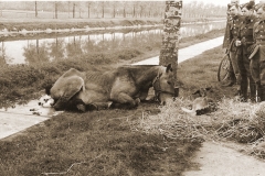 Remontedepot 1940 - evactuatie op 10, 11 en 12 mei 1940.