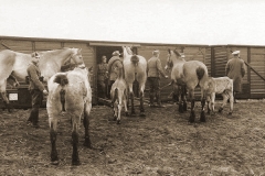 Remontedepot_Brasschaat_1939_1940-14
